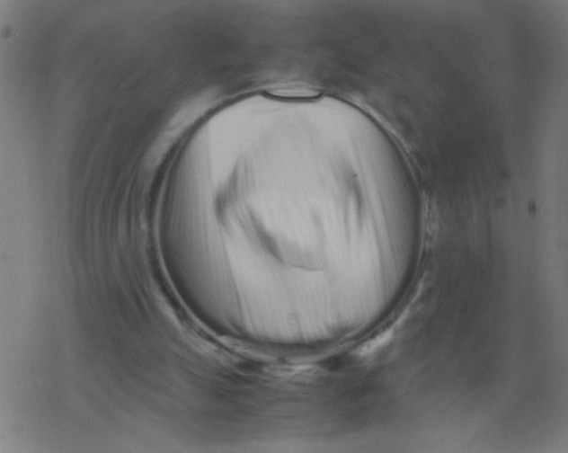 X0000077380055200611101739