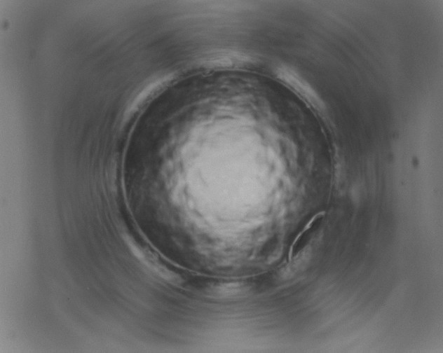 X0000077380058200611101740