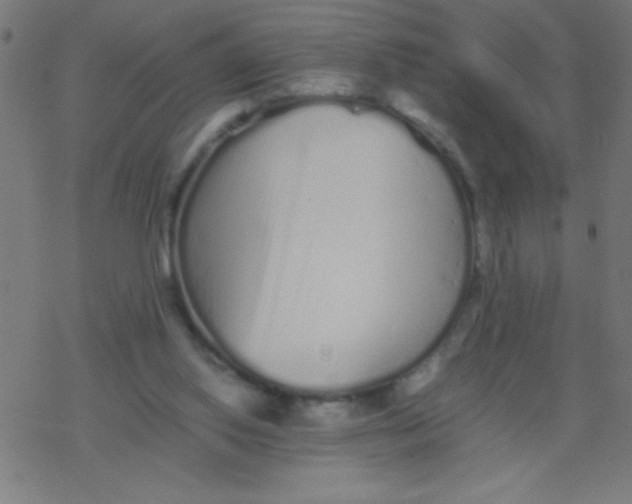 X0000077380062200611101740
