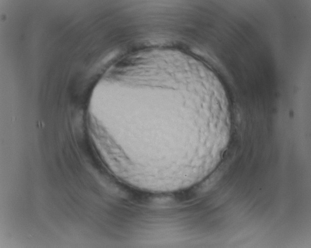 X0000077380066200611101740