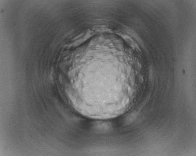 X0000077380073200611101740