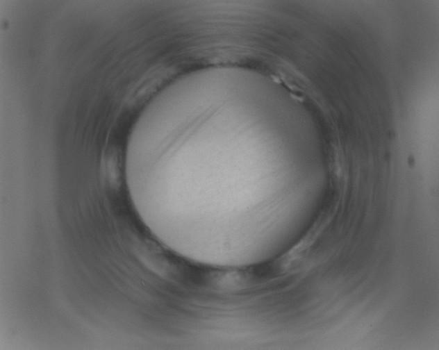 X0000077380074200611101740