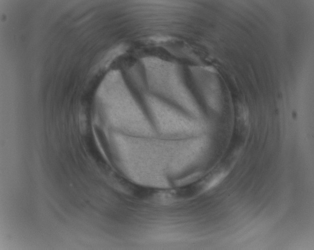 X0000077380080200611101740