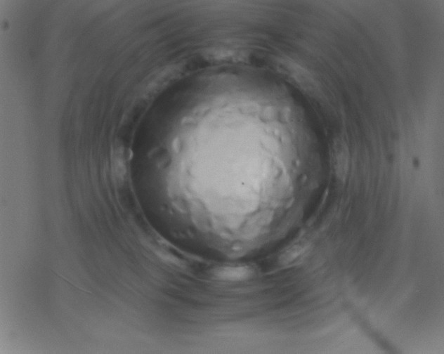 X0000077380085200611101740