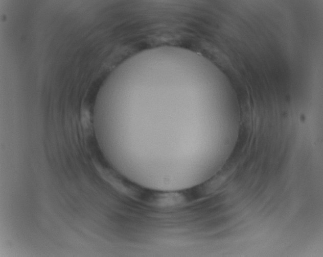 X0000077380087200611101740