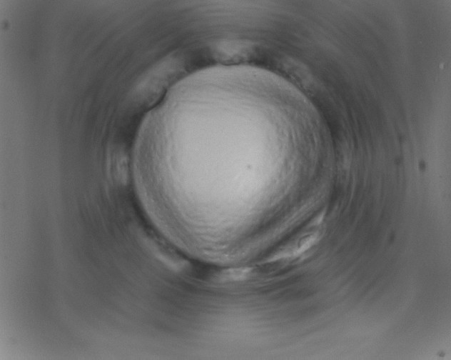 X0000077380090200611101740