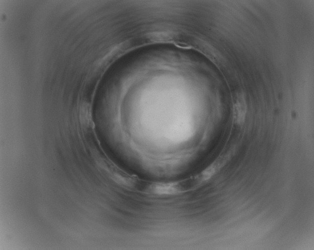 X0000077380093200611101740