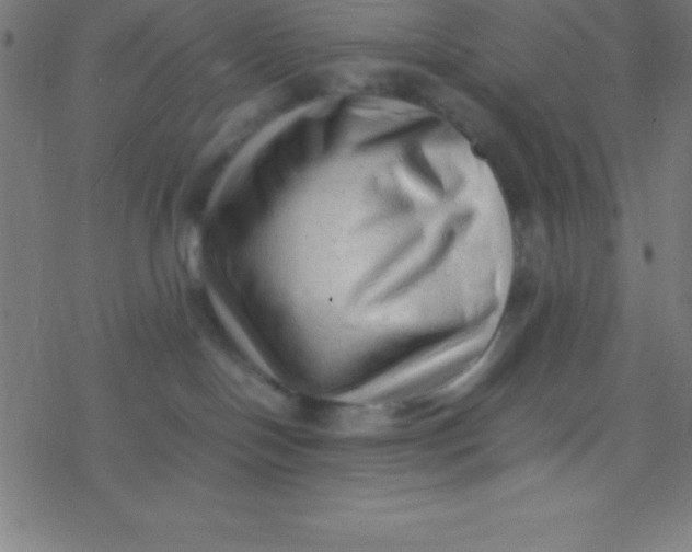 X0000077380094200611101740