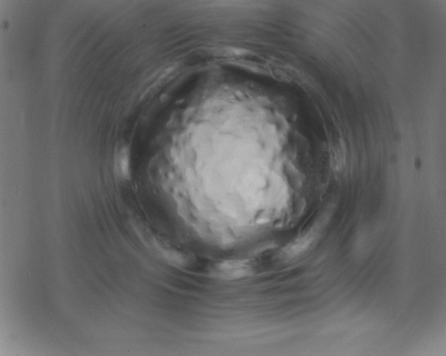 X0000077380095200611101740