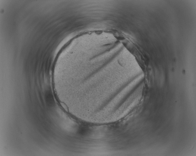 X0000077380100200611101739