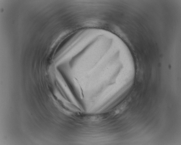X0000077380106200611101739