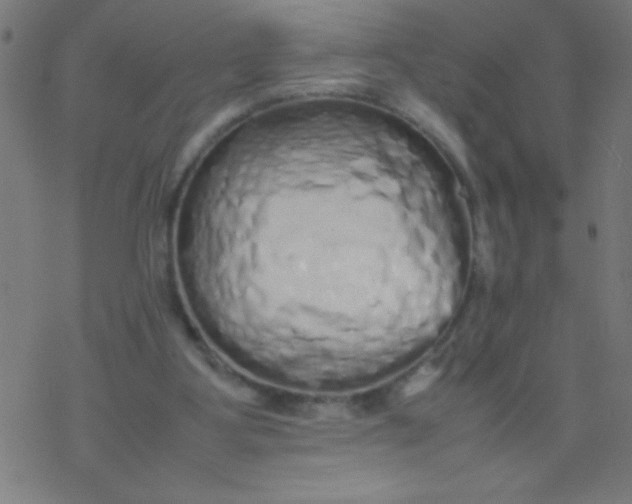 X0000077380107200611101739