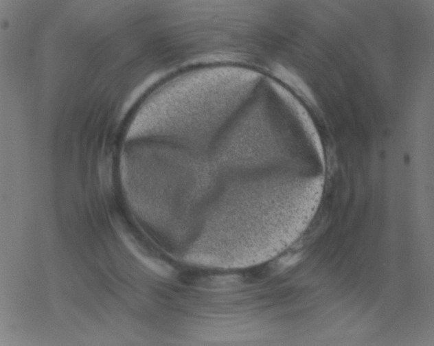 X0000077380108200611101739