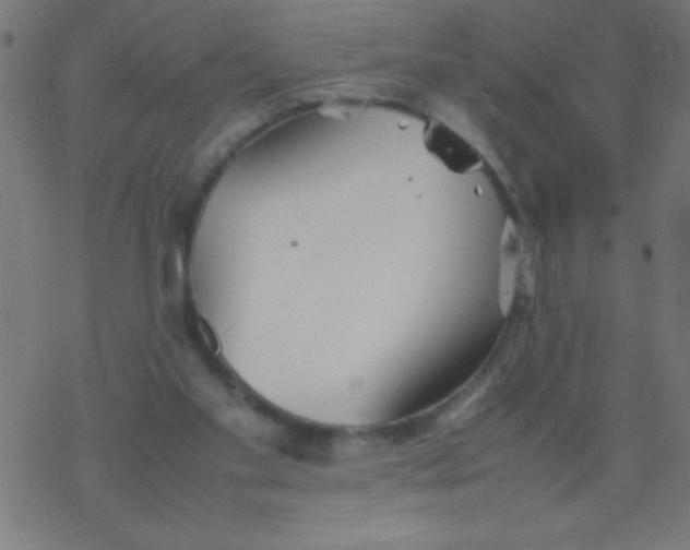 X0000077380109200611101739