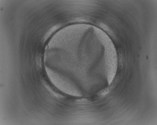 X0000077380112200611101739