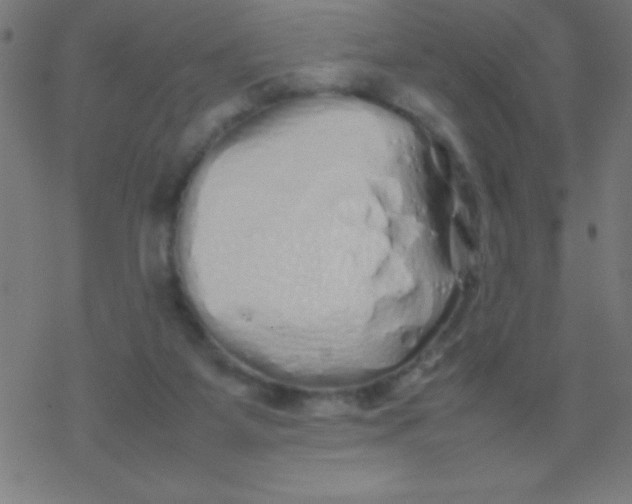 X0000077380115200611101739
