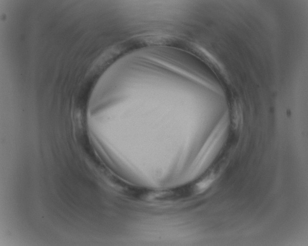 X0000077380117200611101739