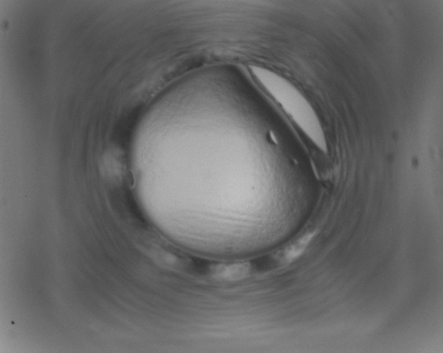 X0000077380135200611101739