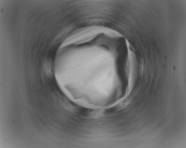 X0000077380138200611101739
