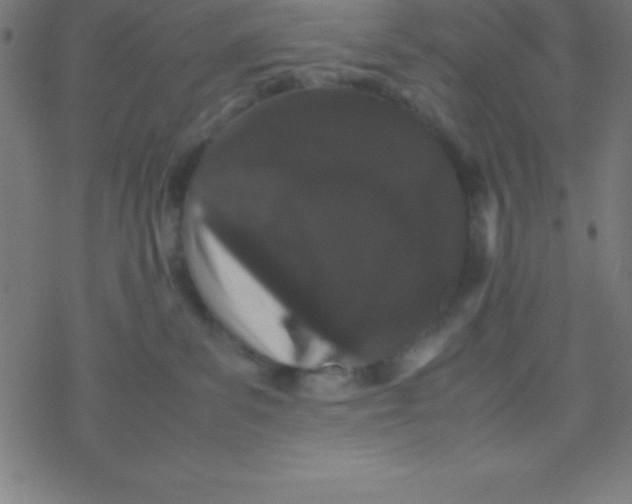 X0000077380139200611101739