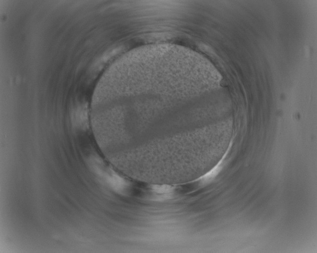 X0000077380144200611101739