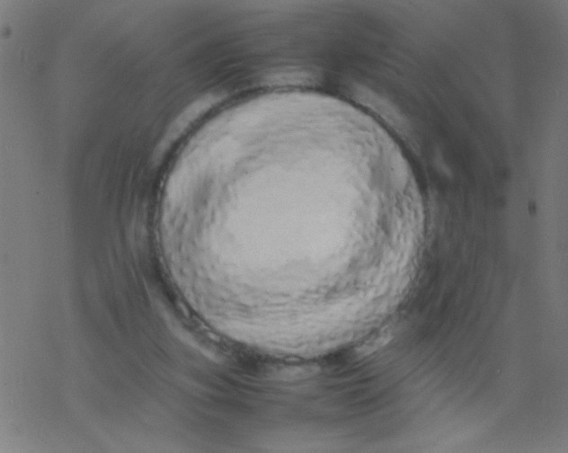 X0000077380155200611101738
