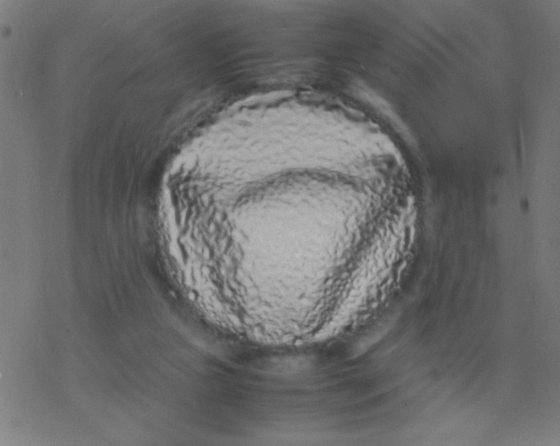 X0000077380161200611101738