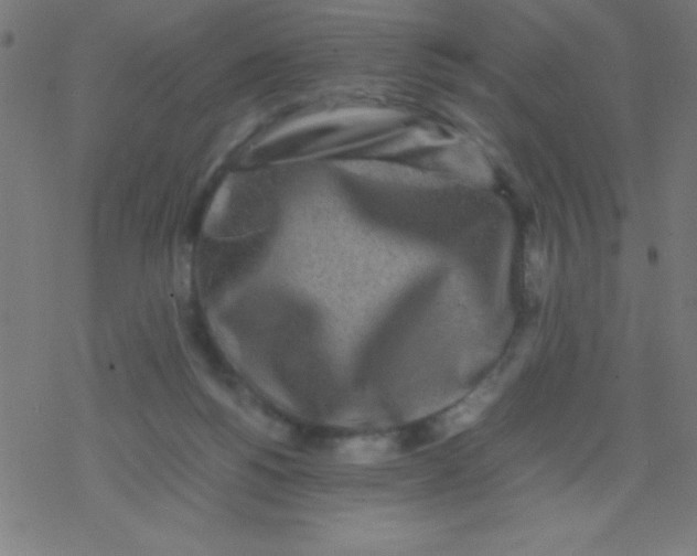 X0000077380168200611101738