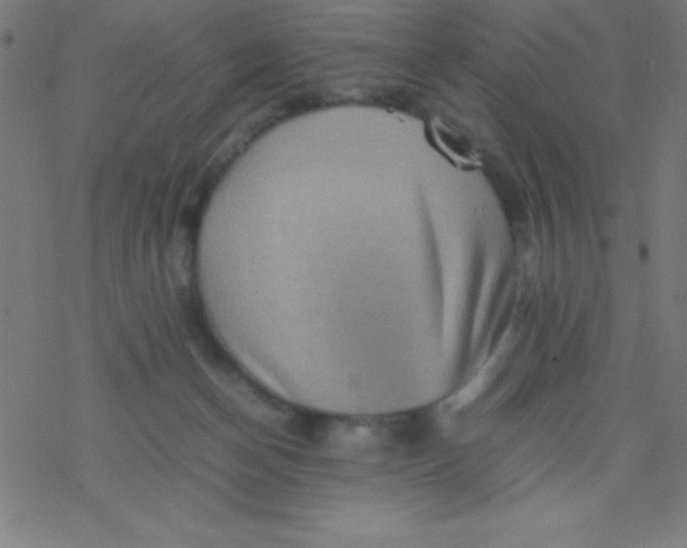 X0000077380174200611101738