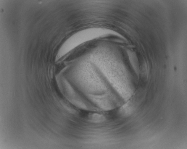 X0000077380180200611101738