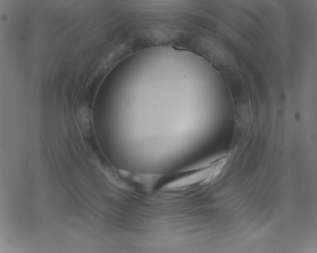 X0000077380184200611101738