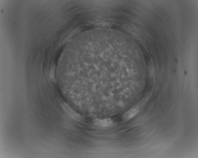X0000077380185200611101738