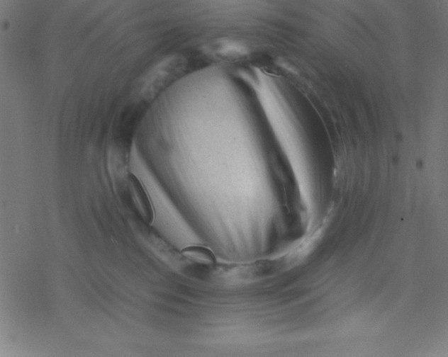 X0000077380186200611101738