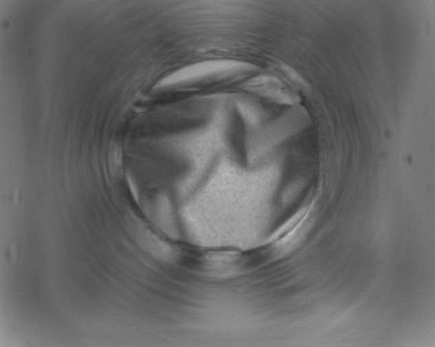 X0000077380192200611101739