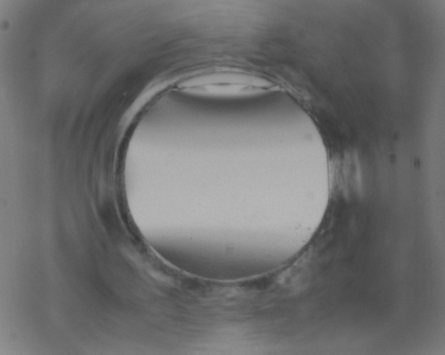 X0000077380195200611101738
