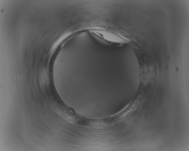 X0000077380200200611101738