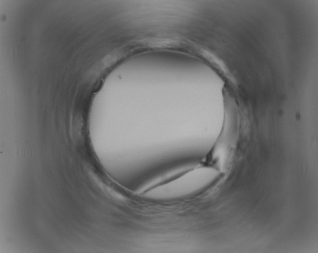 X0000077380201200611101738