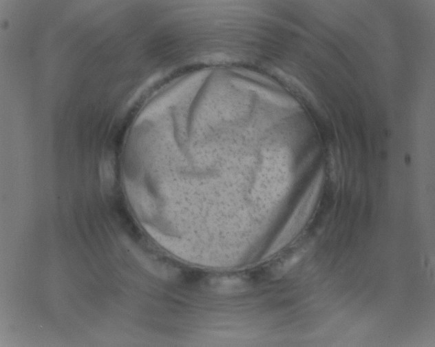X0000077380208200611101738