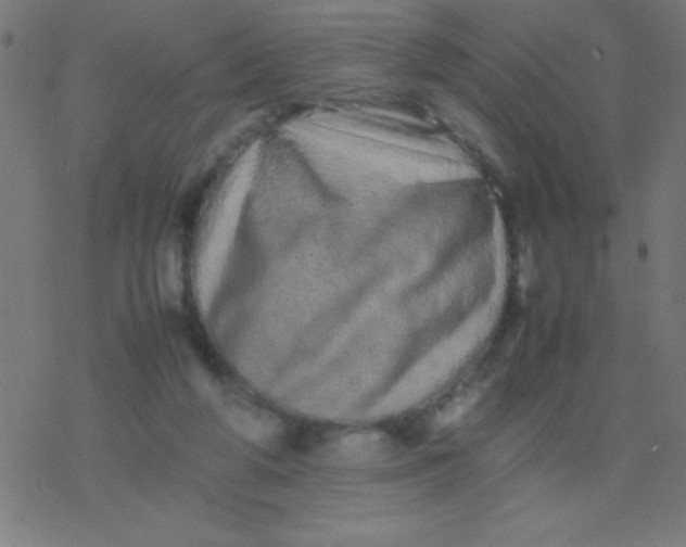 X0000077380210200611101737