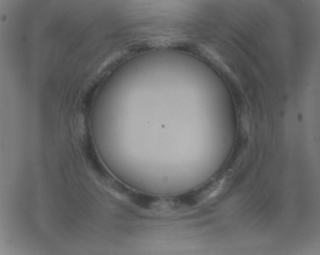 X0000077380211200611101737