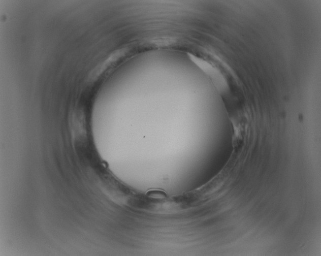 X0000077380212200611101737