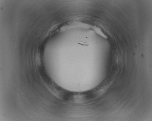 X0000077380216200611101737