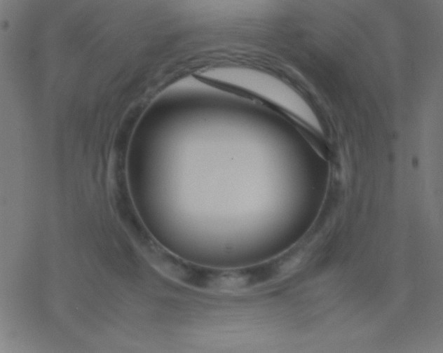 X0000077380217200611101737