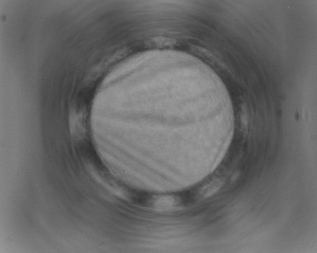 X0000077380218200611101737