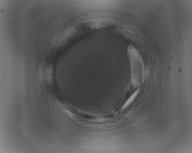 X0000077380219200611101737