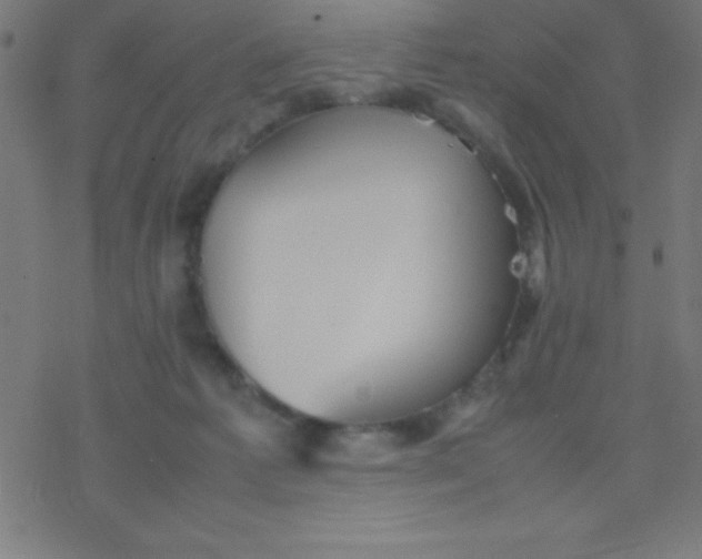 X0000077380221200611101737