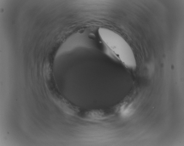 X0000077380223200611101737