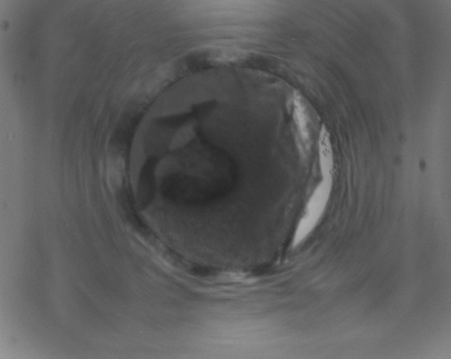X0000077380227200611101737