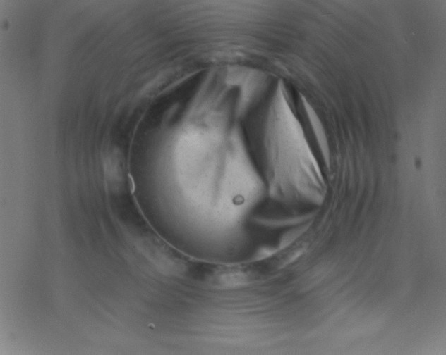 X0000077380228200611101737