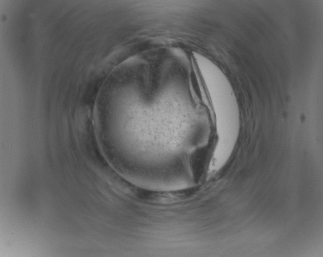 X0000077380229200611101737